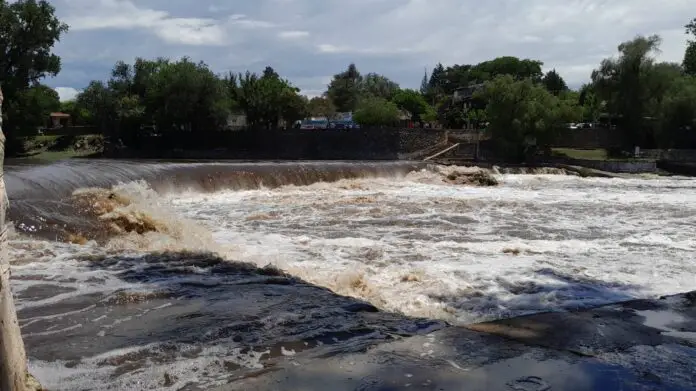 WhatsApp Image 2024-01-01 at 12.29.22