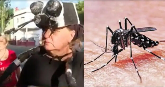 brigada de mosquitos