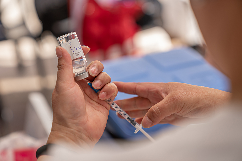 Las claves de la vacuna contra el dengue: todo lo que hay que saber