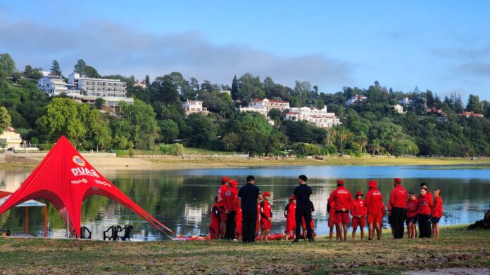 renuevan la búsqueda