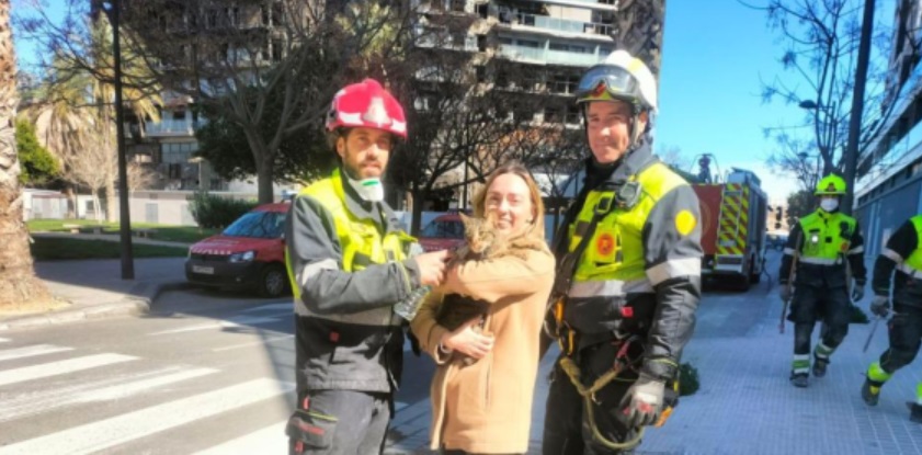 Emocionante video: Encontró a su gato 8 días después del incendio de un edificio en España