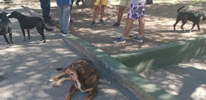 WhatsApp Image 2024-04-30 at 3.11.01 PM