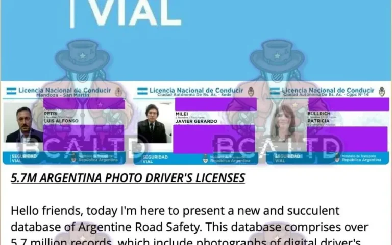 Hackearon datos de licencias de conducir y los pusieron a la venta
