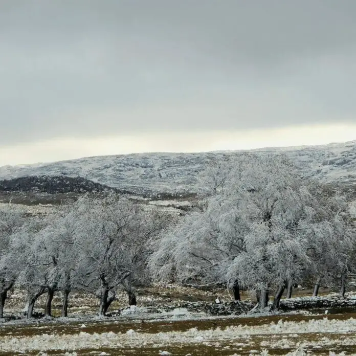 442510700_840481588106215_812413394782073686_n