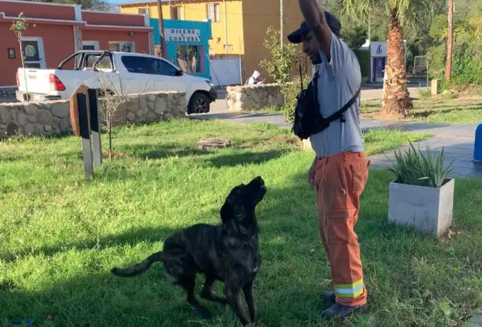 WhatsApp Image 2024-06-18 at 19.25.22