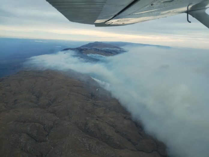 WhatsApp Image 2024-07-16 at 17.45.18 (1)