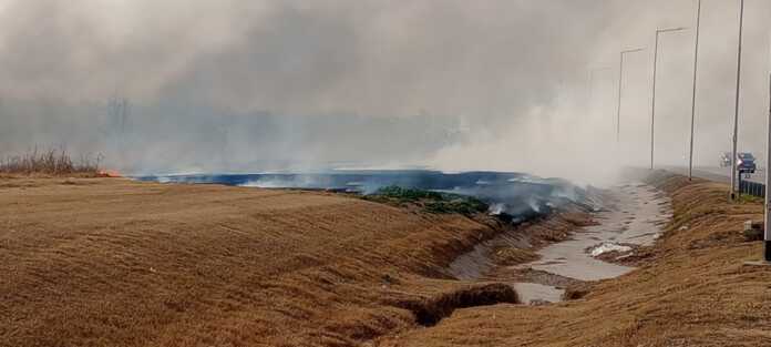 WhatsApp Image 2024-08-02 at 18.30.31