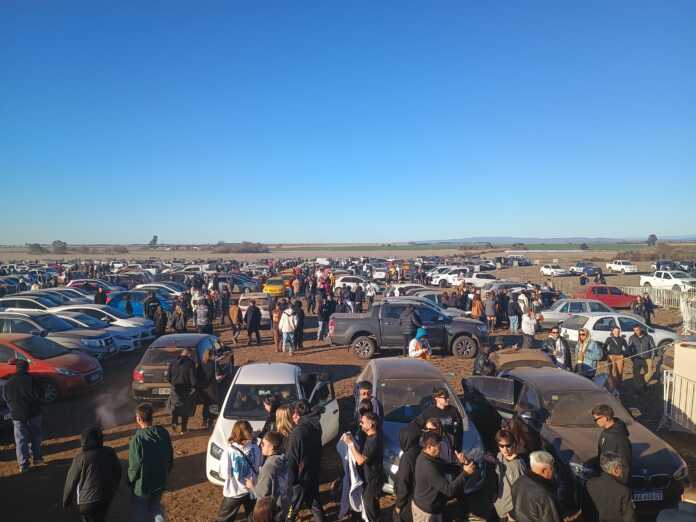 WhatsApp Image 2024-08-25 at 15.34.05