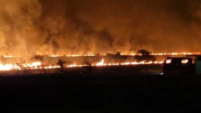 WhatsApp Image 2024-08-28 at 22.38.11