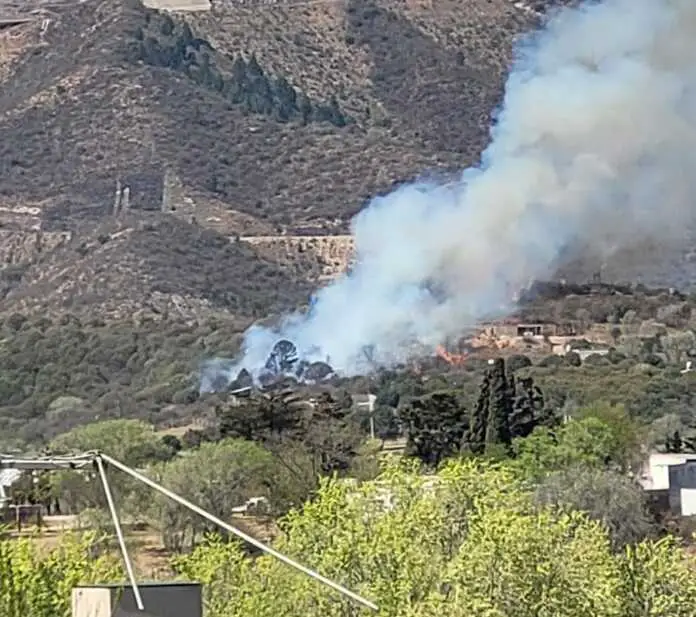 460169268_10224936967346876_7878324650340078052_n