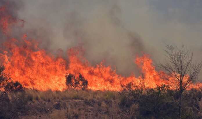 460879369_939725758187181_1239788482757365663_n