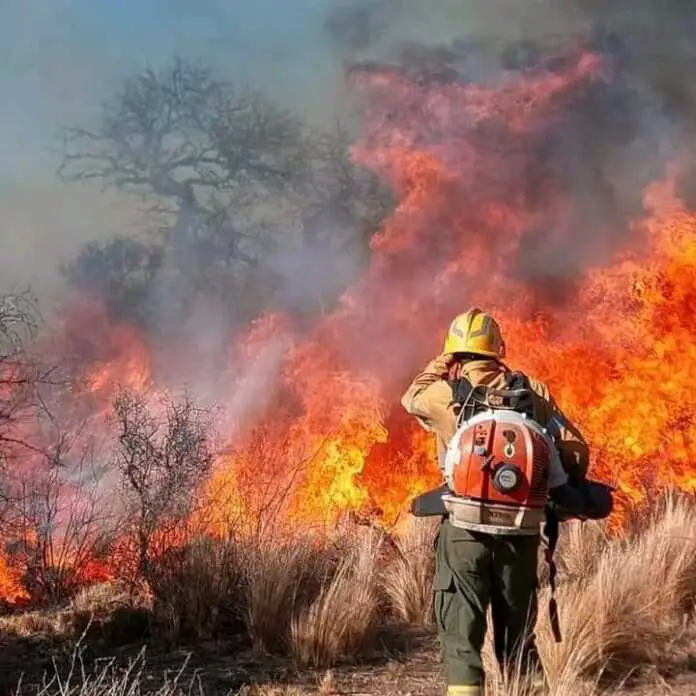 461570852_1006449578162862_8475951045596858110_n