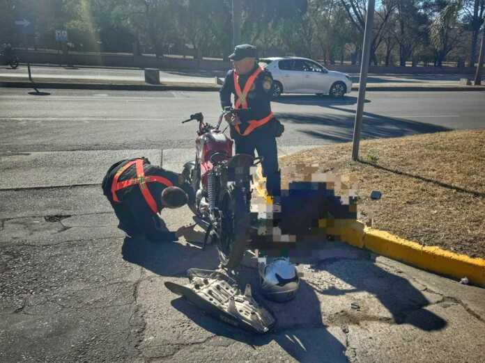 WhatsApp Image 2024-09-01 at 21.12.34