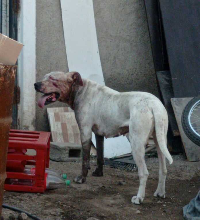 WhatsApp Image 2024-09-09 at 05.51.03