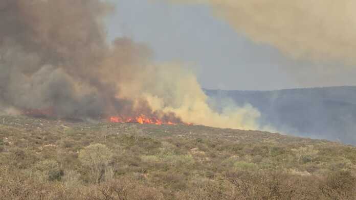 WhatsApp Image 2024-09-21 at 09.04.45