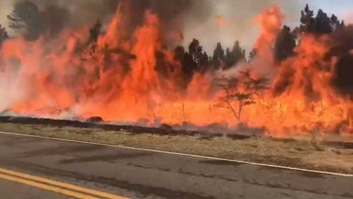 WhatsApp Image 2024-09-21 at 18.13.27 (1)