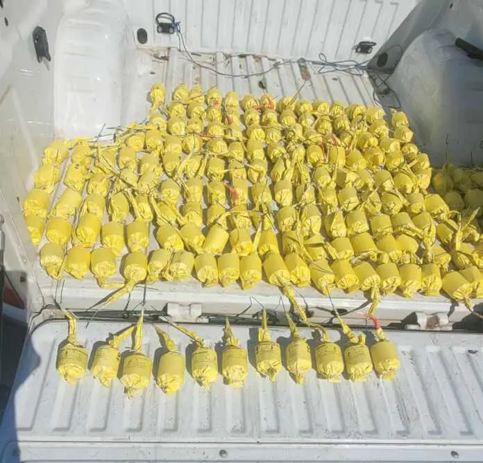 WhatsApp Image 2024-10-04 at 05.31.23