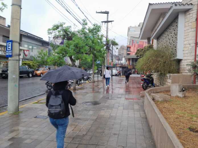 WhatsApp Image 2024-10-07 at 10.08.46