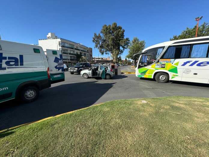 WhatsApp Image 2024-11-12 at 19.58.47