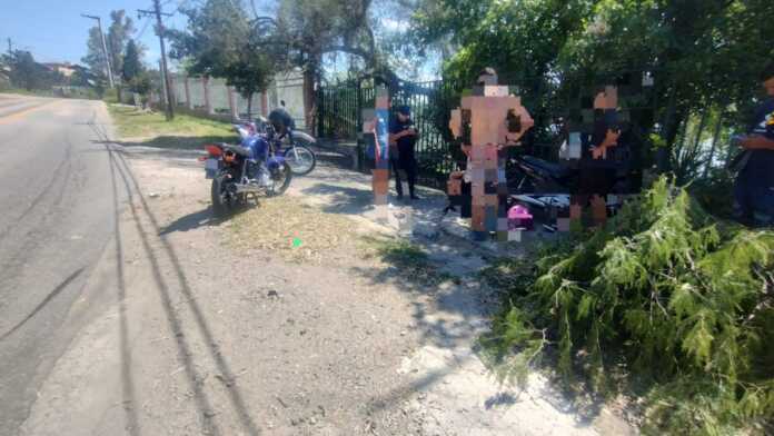 Imagen de WhatsApp 2024-12-26 a las 18.17.20_c1d05e21