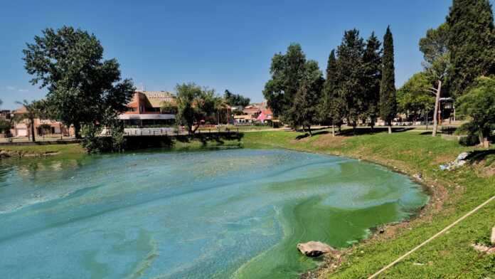 San-Roque-cianobacterias-dic24