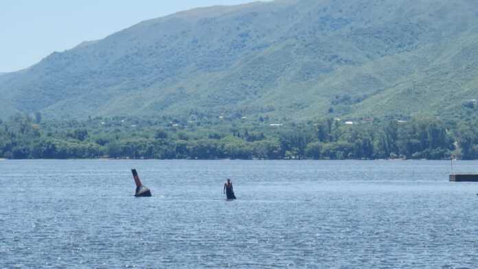 WhatsApp Image 2024-12-10 at 13.59.50