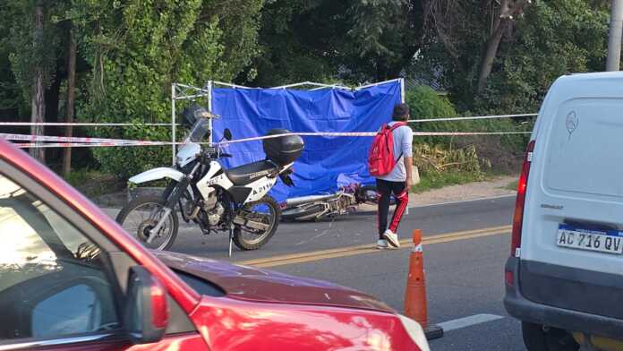 WhatsApp Image 2024-12-12 at 18.49.34 (1)