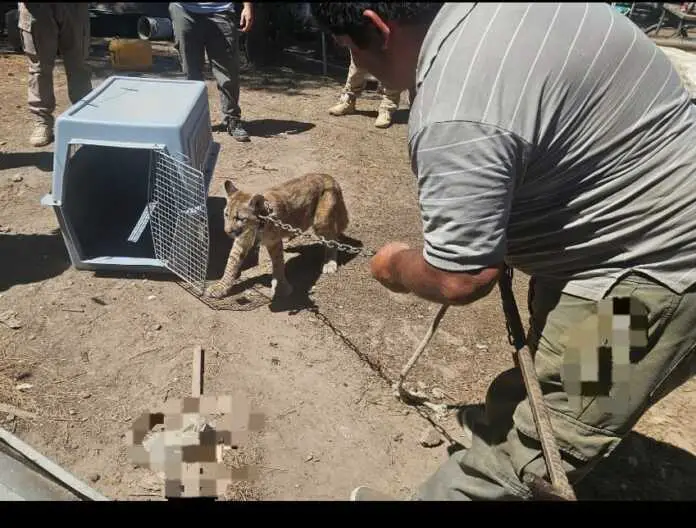 WhatsApp Image 2024-12-28 at 10.32.43