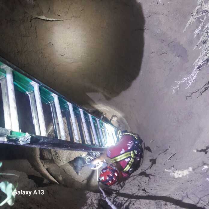 Imagen de WhatsApp 2025-01-22 a las 07.21.17_99429ced