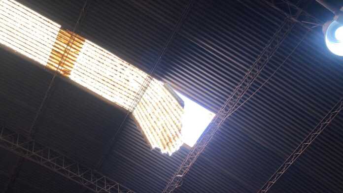 WhatsApp Image 2025-01-07 at 17.58.55