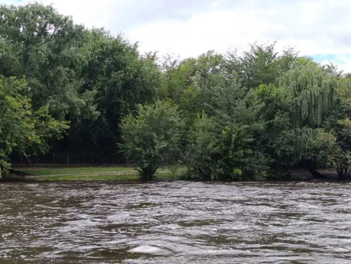 WhatsApp Image 2025-01-19 at 14.36.23