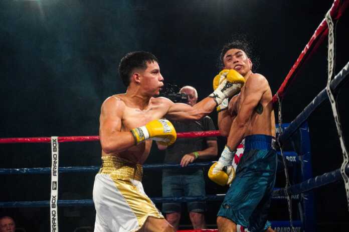 WhatsApp Image 2025-01-20 at 07.48.06