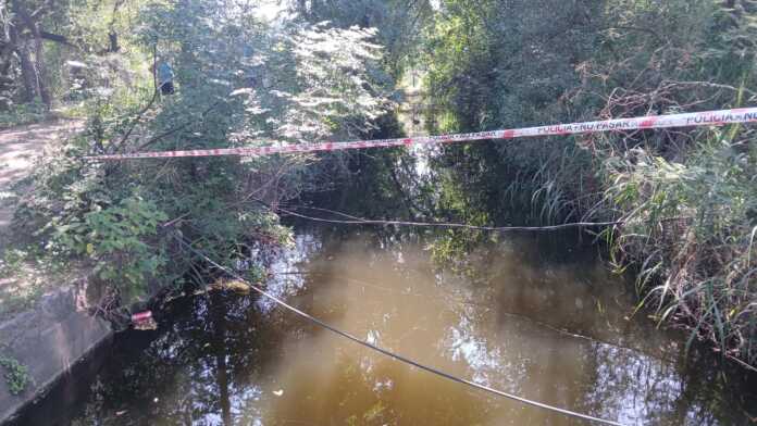 WhatsApp Image 2025-01-23 at 12.57.07