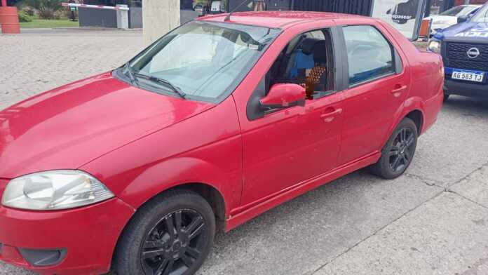 WhatsApp Image 2025-01-26 at 16.32.49