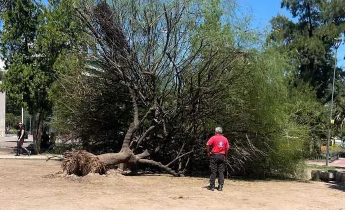 Imagen de WhatsApp 2025-02-18 a las 15.34.29_535ea764