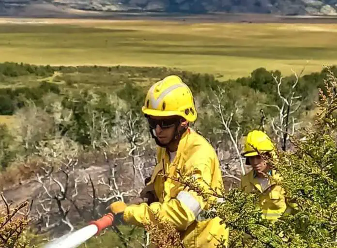 WhatsApp Image 2025-02-12 at 16.56.50