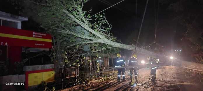 482128058_10236151444074575_234483102770673260_n