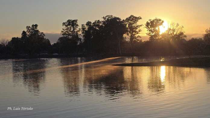 510964105_10237775142386018_2241004969483221780_n