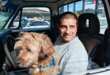 Jack, el perrito fletero de Carlos Paz, un fiel compañero de trabajo