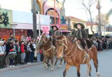 Carlos Paz celebra el Día de la Tradición con un “Gran desfile gaucho” este lunes