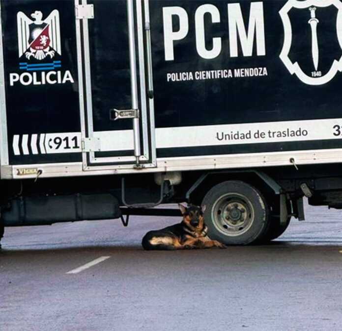 536268065_1101157928793192_3566182148081594383_n