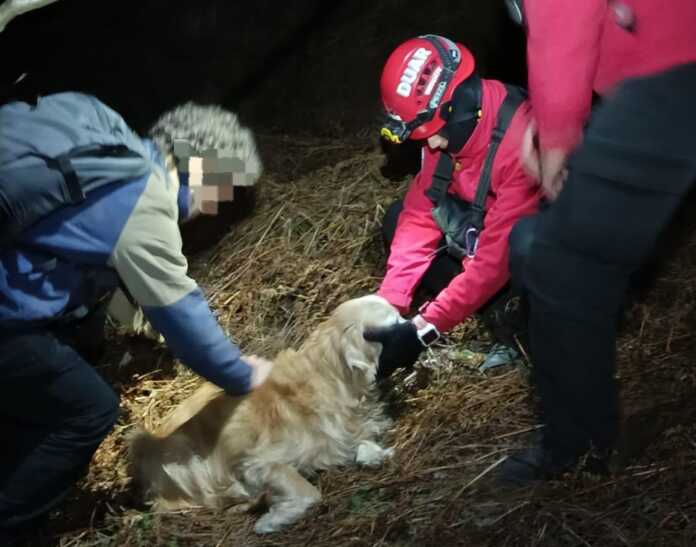 Imagen de WhatsApp 2025-08-24 a las 10.38.10_559c4c8e