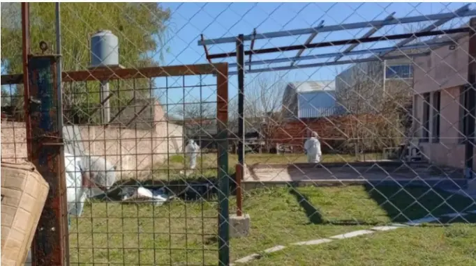 policía científica investiga