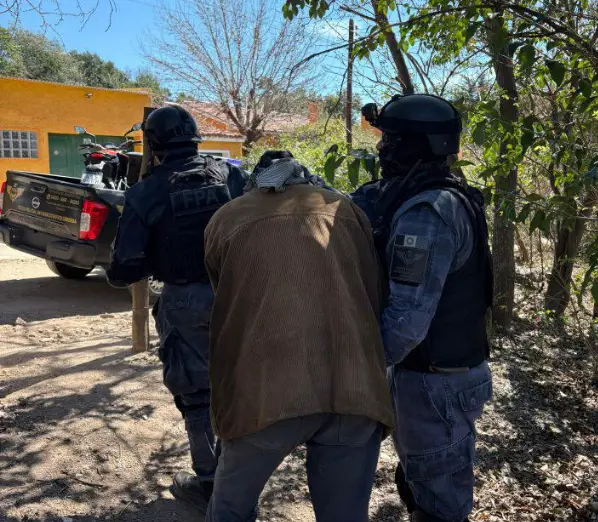 veterinario detenido