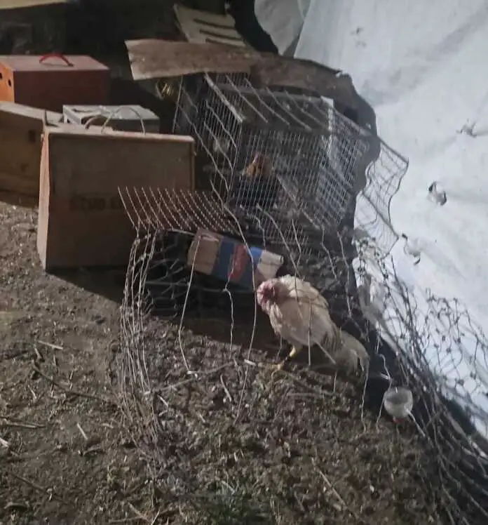 WhatsApp Image 2025-09-13 at 10.09.18 AM