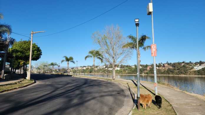 soleado primavera 2025 1