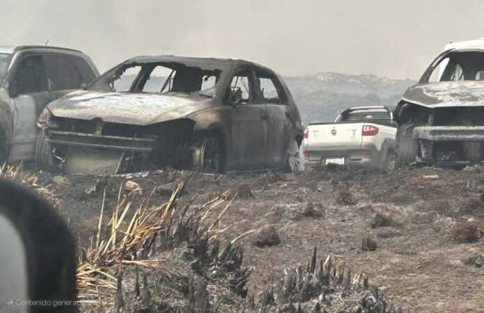 WhatsApp Image 2025-10-10 at 18.02.52