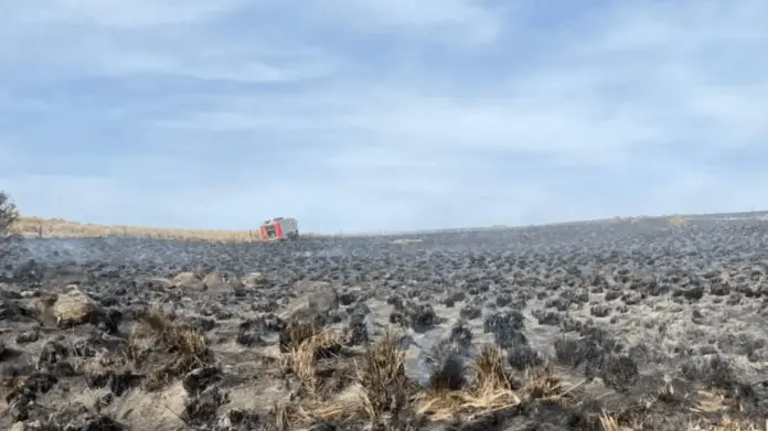 contuvieron incendio