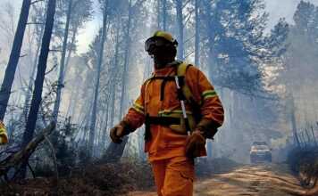 Riesgo extremo de incendios en Córdoba: piden máxima precaución a la población