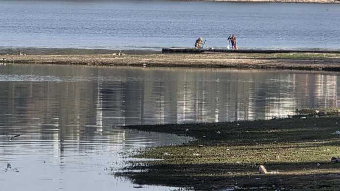 lago bajo Luis Tortolo